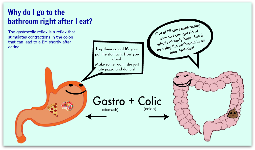 Stomach (gastro) is talking to the colon (colic) about contractions after eating