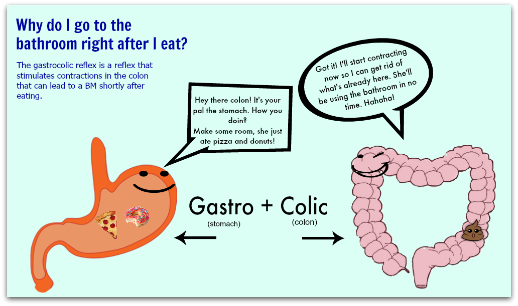 gastrocolic-reflex-going-to-the-bathroom-after-eating-with-ibd