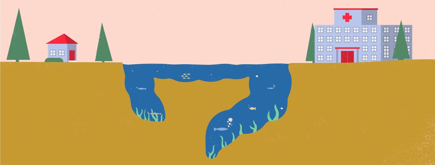 a hospital and a house separated by a lake shaped like a colon