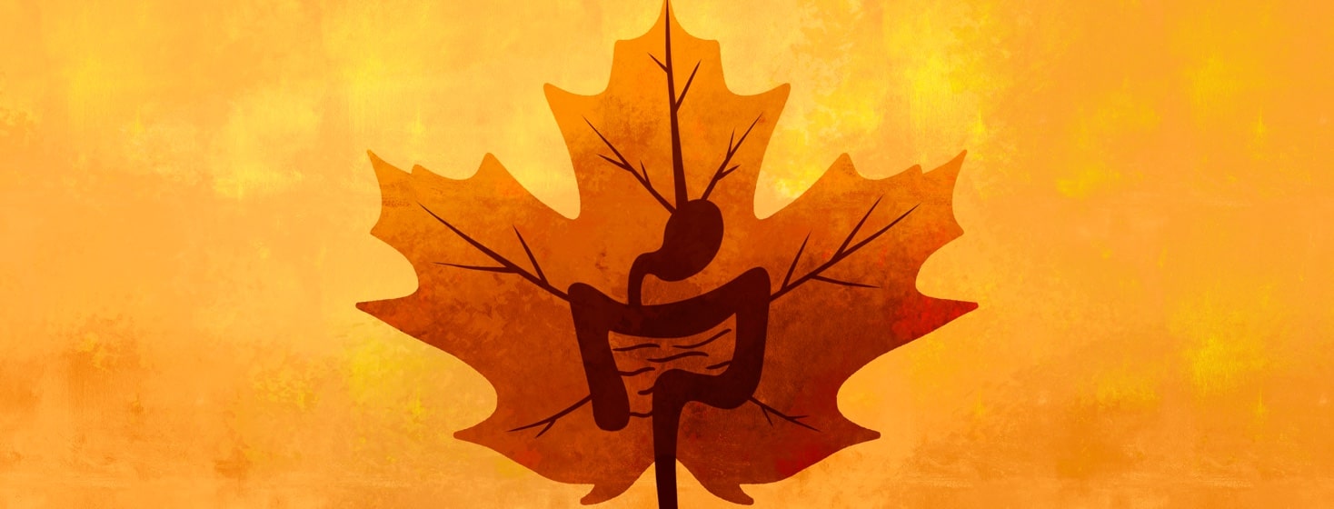 orange leaf with a digestive system inside