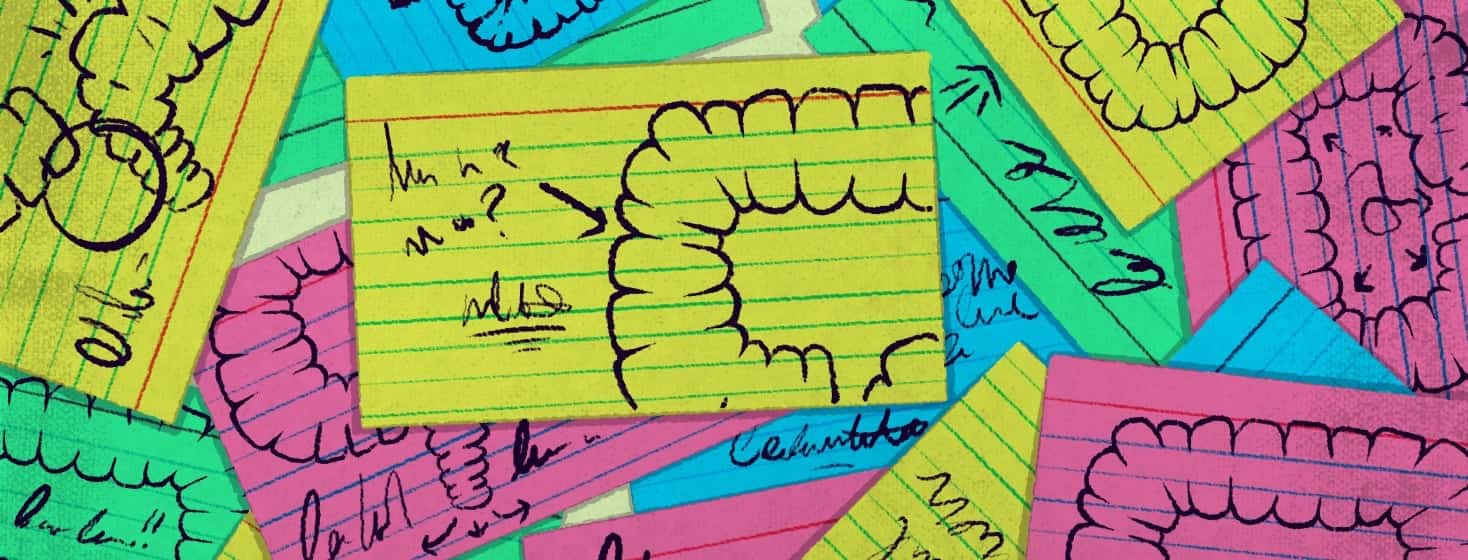 Multicolor notecards were strewn about as if being studied. On them are drawings of colons' and notes.