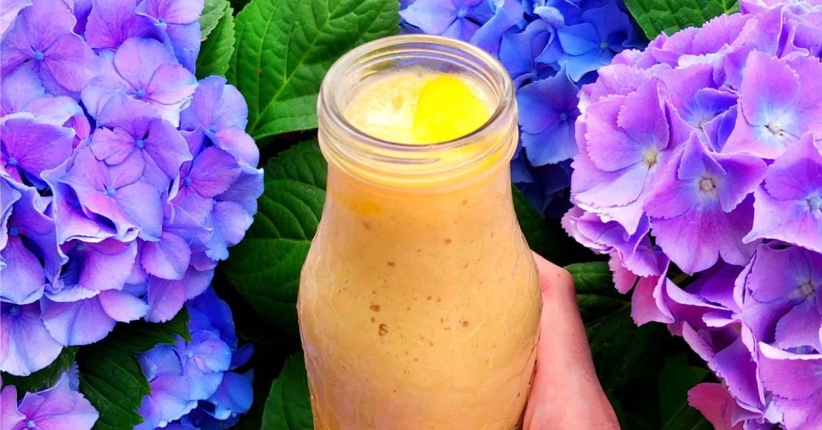 Crohn's and Ulcerative Colitis Mango Tango Smoothie Recipe