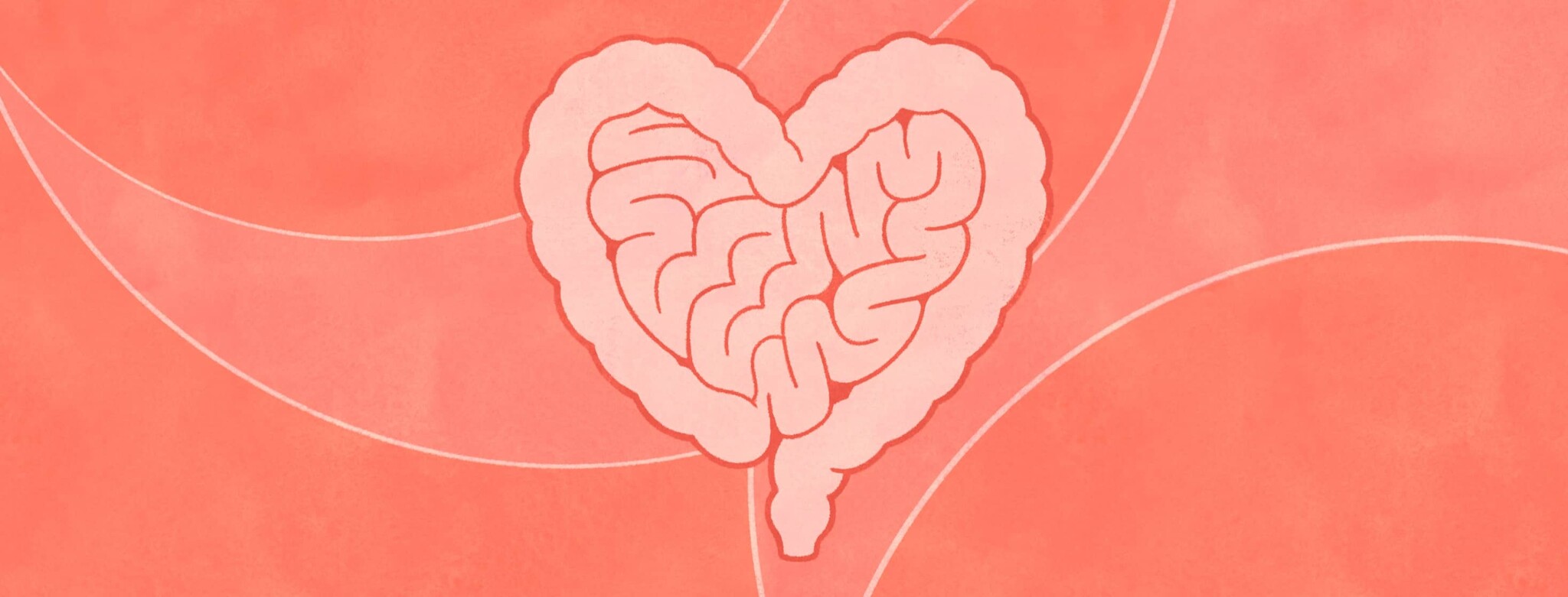 Heart-shaped GI tract