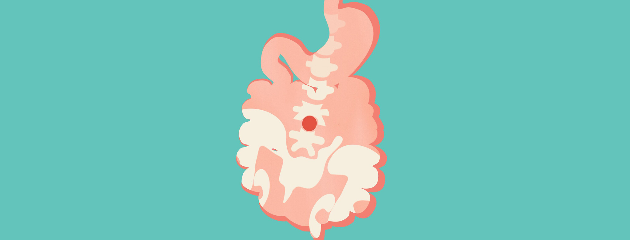 A stomach and intesetines overlayed with a skeleton pelvis spine